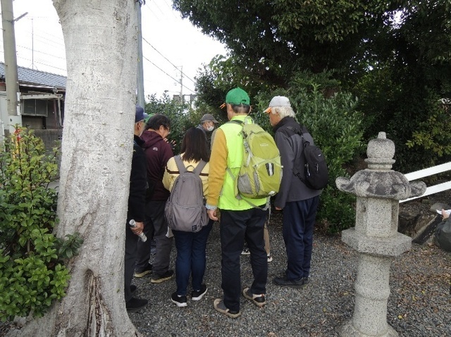 image17.jpeg